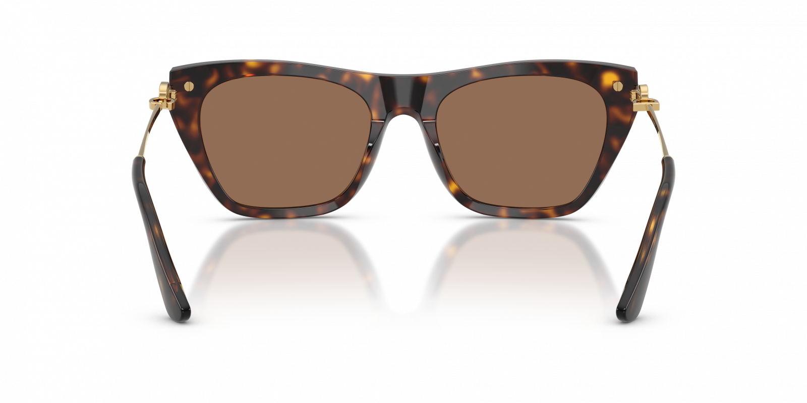 Dolce & Gabbana DG4511 502/73  